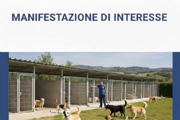 Indagine di mercato per affidamento del servizio di cattura, custodia e mantenimento dei cani vaganti rinvenuti nel territorio comunale